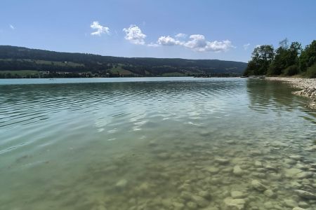 Neustart für meine Kinder