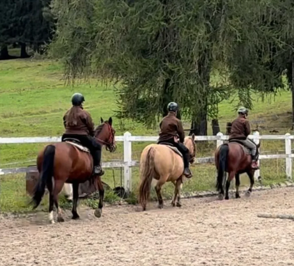 Drei Reiter auf Pferden im Wald